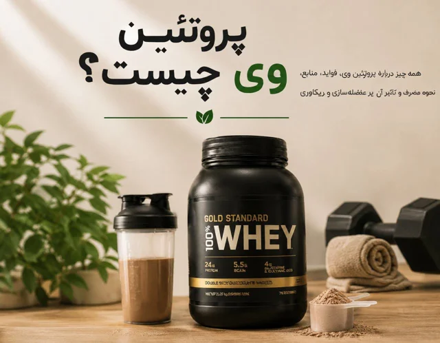 وی پروتئین چیست؟